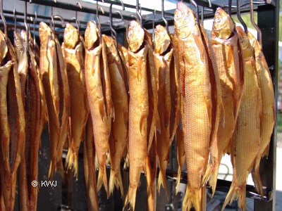 Foto: frisch gefangen - frisch geruchert. Fisch aus dem Wrthsee