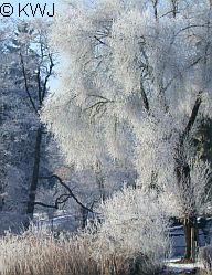 Winter in der Ammersee-Region