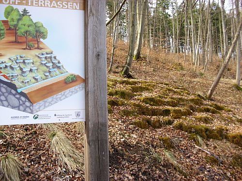 Waldlehrpfad Diessen Ammersee - Kalktuff-Terrassen
