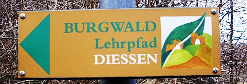 Wald-Lehrpfad Ammersee-Region: Burgwald in Diessen am Ammersee