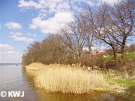 Foto: Frühling am Ammersee