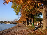 Goldener Herbst in Herrsching am Ammersee