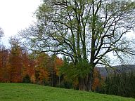 Herbst in der Ammersee-Region