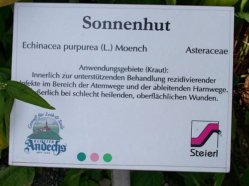 Andechser Kräutergarten - Foto Echinacea - Sonnenhut