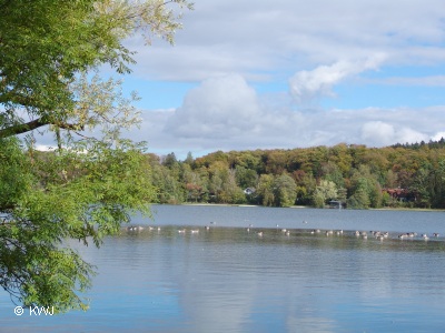 Foto: Weßlinger See in der Ammersee-Region