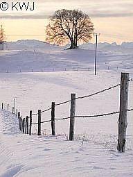 Winter in der Ammersee-Region