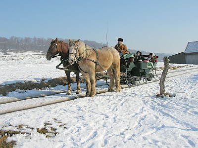 Pferdeschlittenfahrt durch die winterliche Ammersee-Region...